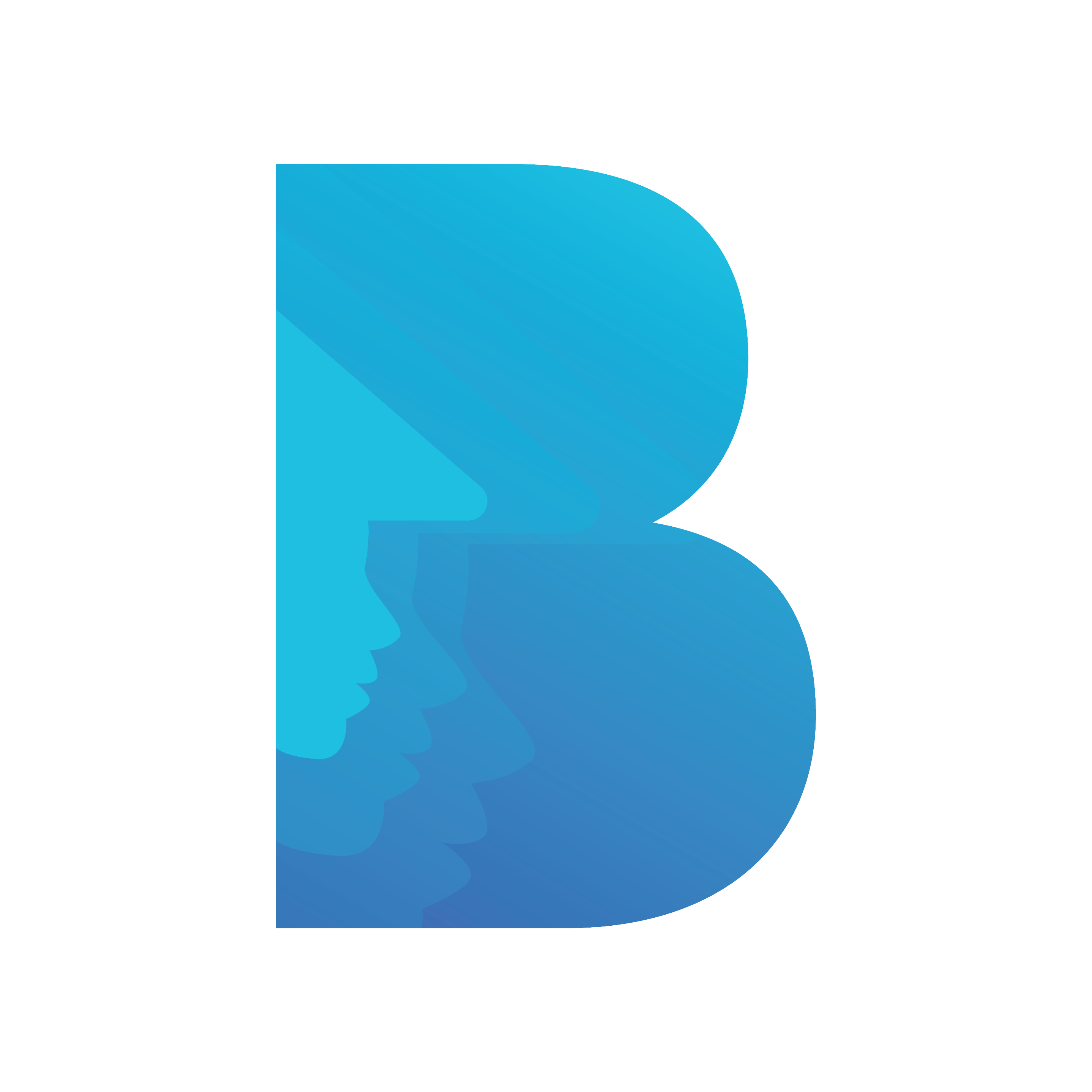 Baiyarin Logo